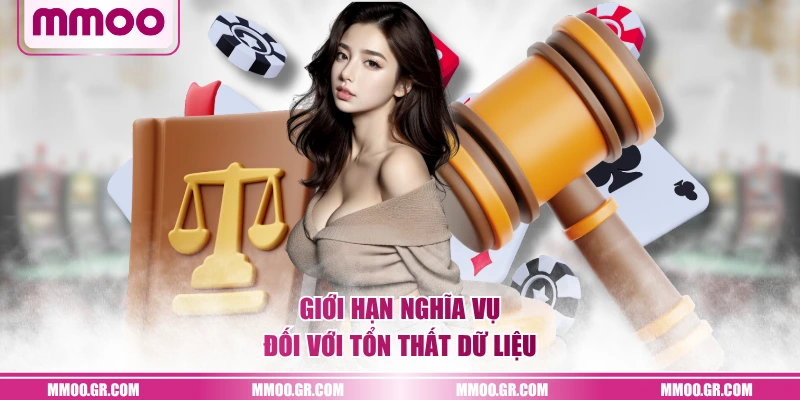 Giới hạn nghĩa vụ đối với tổn thất dữ liệu